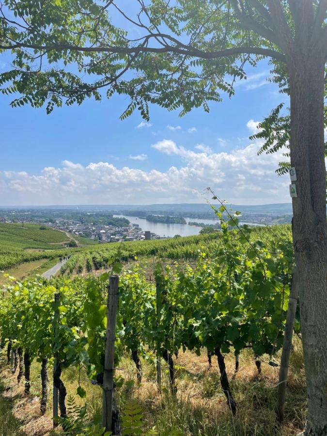 Appartamento Good Times In St. Goar Sankt Goar Esterno foto