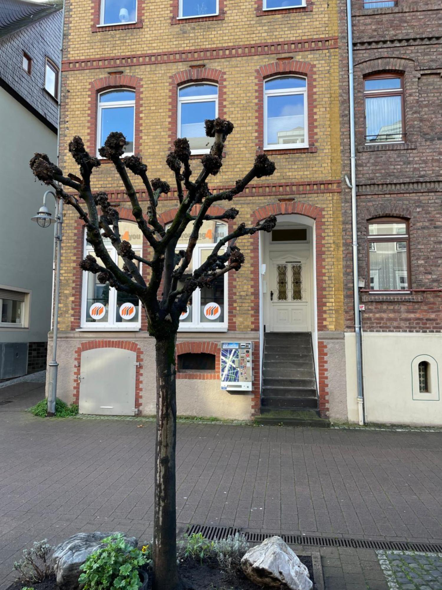 Appartamento Good Times In St. Goar Sankt Goar Esterno foto